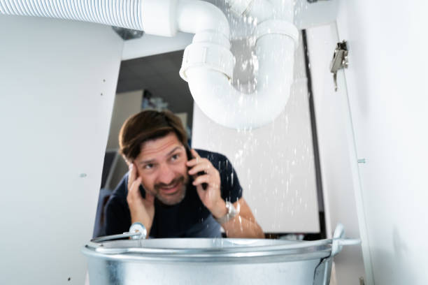 Best Affordable Plumber Near Me  in Lakewood, IL