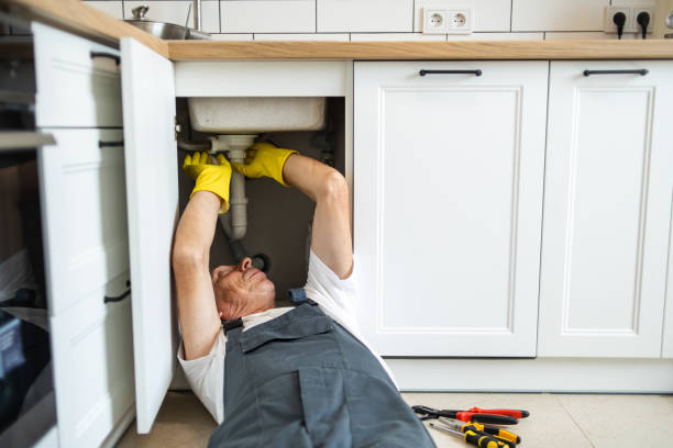 Best Clogged Drain Plumber  in Lakewood, IL