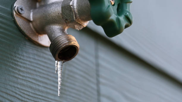Best Local Plumber Services  in Lakewood, IL